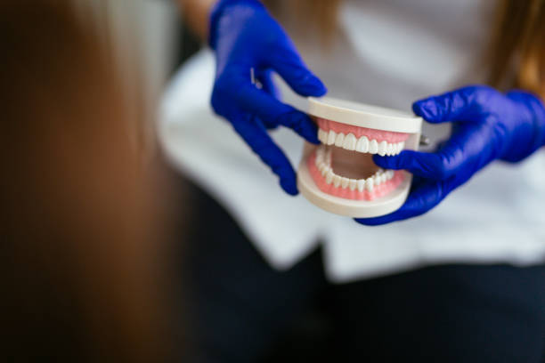 Best Dental Fillings (Composite and Amalgam)  in Chlicothe, IL